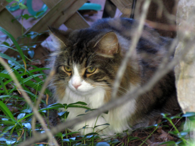 Not bewildered or embarrassed -- just annoyed.