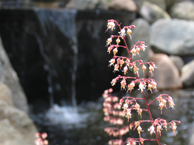 A nice place to sit and read, if it weren`t for the guy with the camera.