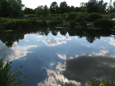 You can witness a miracle every evening if you`re not watching TV at sunset.