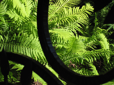 What a fortunate coincidence that the sun is ninety-three million miles away:  close enough to warm and nourish us, but not to burn us up.