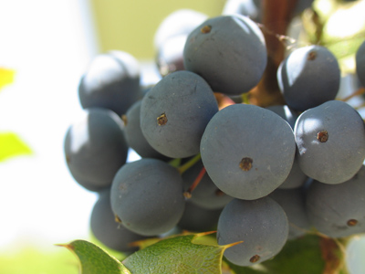 Feels like the sun is ninety-TWO million miles away today.