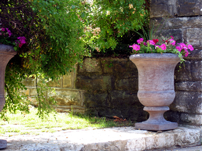 A nice photo like this might urn me some money.