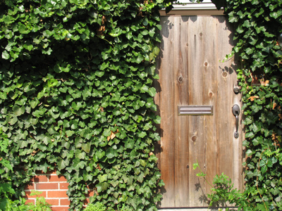 I`m sure there are cats behind that door.