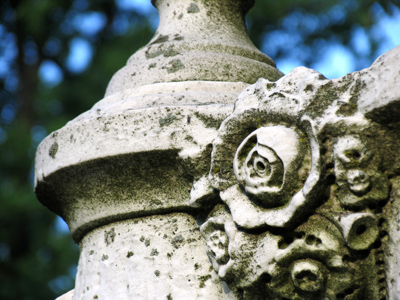 Most of the flowers I photograph will be gone in a few days.  Not these.