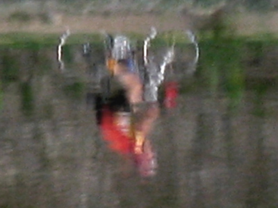 `La bicyclette engloutie` by Claude Monet.