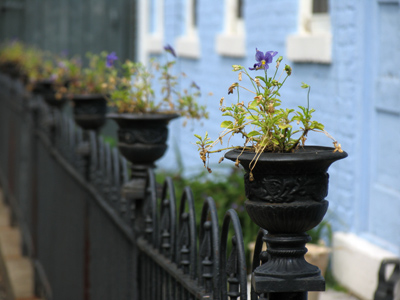 The photographic `expert` demonstrates depth of field.