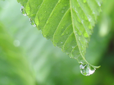 It`s the rainy season in Nanjing, China.