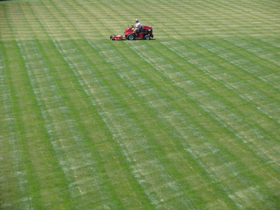 `Only 47 more rows!`