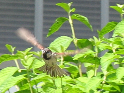 Friday quittin` time.