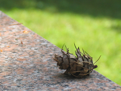 Thanks to this workshop, I can now take `Picture Perfect` outdoor photos.