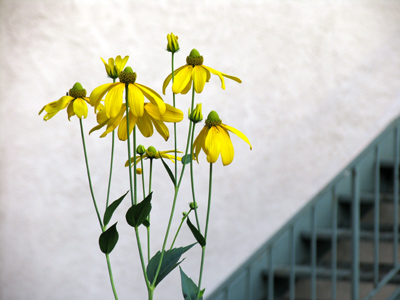 Not an easy shot to get.  You should be grateful.