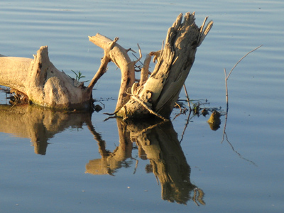 Evening on the Great Miami.