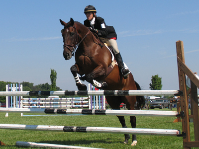 I was feeling equestrian this morning.