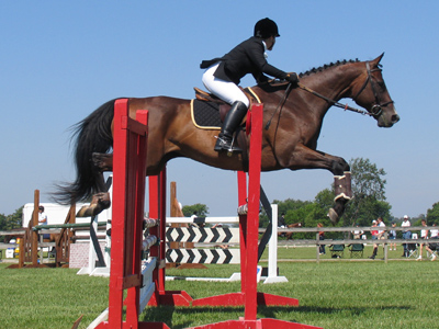 A rather hot day for dark jackets, gloves and boots.