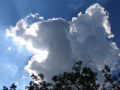 If you had attended the Woodland Photo Clinic, you`d know what crepuscular light is.