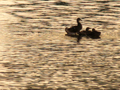 There was already a crowd there.