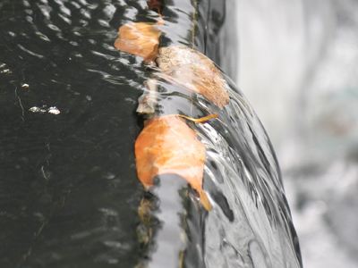 Seven and a half million gallons of water pour over the Niagara Falls every minute.