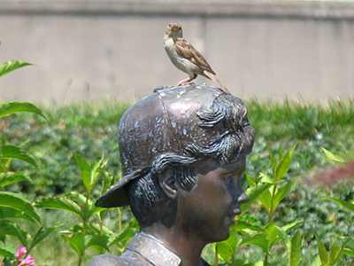 Hold . . . perfectly . . . still.