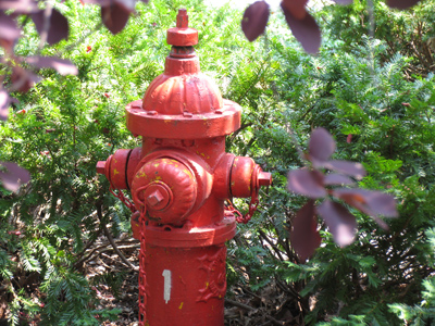 I know -- I could have a photo exhibit with pictures of just ORDINARY things!