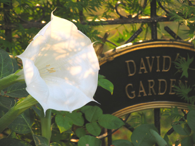 If we love flowers, Are we not born again every day?  EMILY DICKINSON.