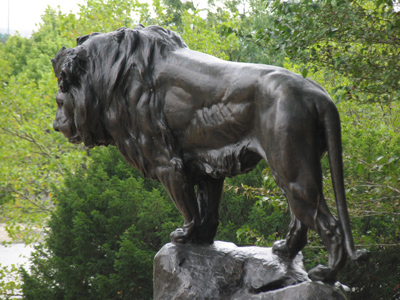 Last of the great North American river lions.