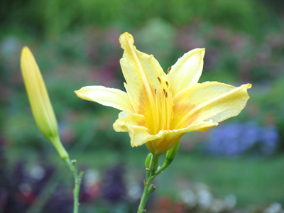 I paid the price of mosquito bites for this picture.