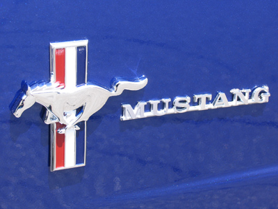 `Mustang Sally, think you better slow your Mustang down. You been running all over the town now.`