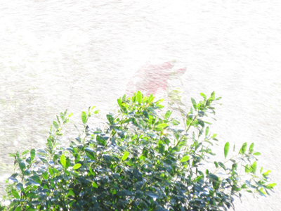  . . . You might just get it.