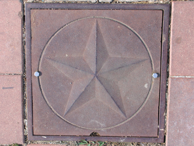 Bright star of Venus, fall`n down on the earth, How may I reverently worship thee enough? WILLIAM SHAKESPEARE