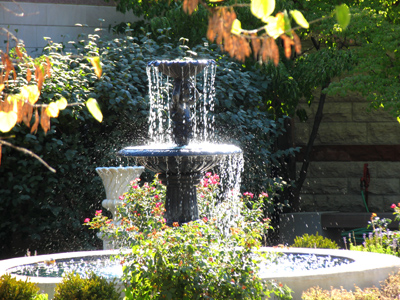 Fire in the well; and a fountain in the sun. ZEN NON SEQUITOR