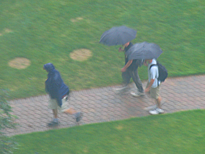 Too cool for an umbrella.