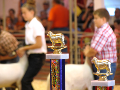 The stakes are high in the Junior Sheep Showmanship competition.