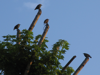 I guess maybe it`s not lonely at the top.