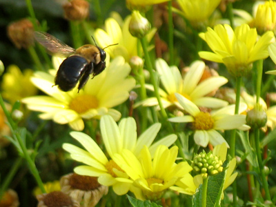 Cleared for landing.