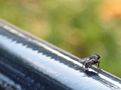 We met on a park bench.