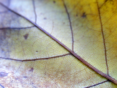 And on a nearby bench . . . 