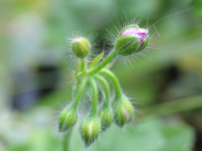 Considering it`s October 7, this shows great optimism.