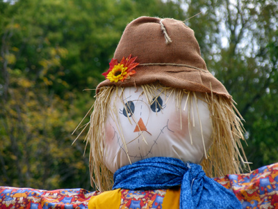 If I only had a brain.