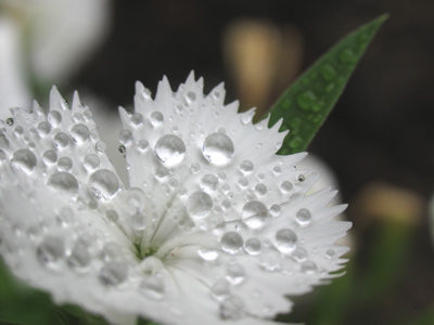  . . . but you can be sure mine are all-natural.