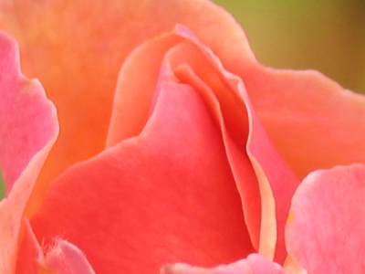 Georgia O`Keefe would have loved it.