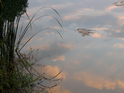 It`s getting late . . . 