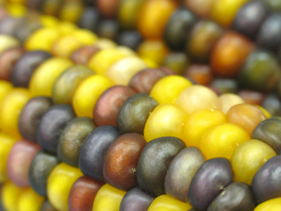 Usually it`s just my captions that are corny.