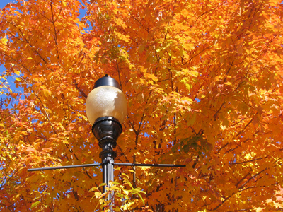 Reminiscence of October 15, 2004.