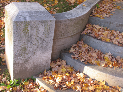 Not the first leaves you`ve seen today, and not the last.