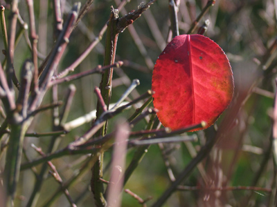 One is the loneliest number.