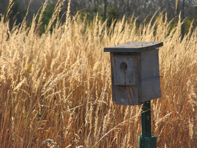 I`m gone - say nice things about me - `cause I`m gone south - you gotta carry on without me. JAMES TAYLOR