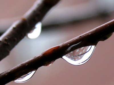The University of Dayton School of Law, captured in a water droplet.
