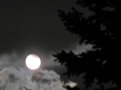 Where did that dish go?  And where`s my spoon?