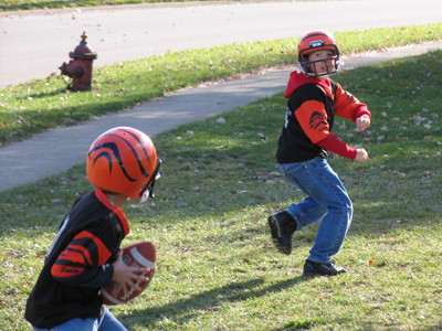 After Thanksgiving dinner was over, I watched the Bengals game.