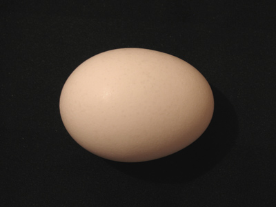 Now is the time of year when I have to manufacture indoor scenes . . . 